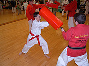 Torquay Karate Club